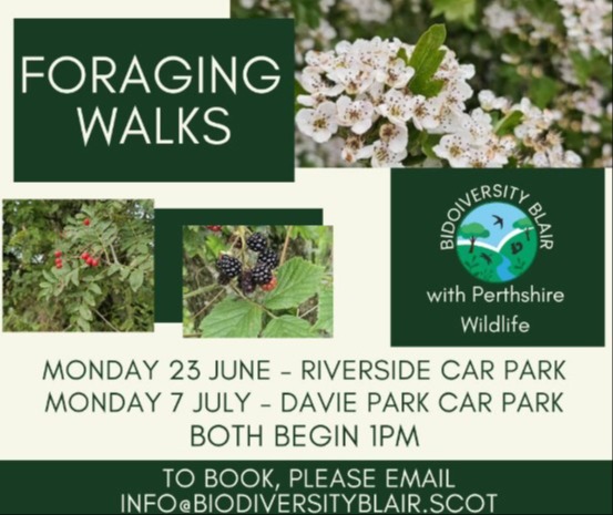 Foraging Walk withBiodiversity Blair