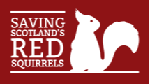 Saving Scotland's Red Squirrels - Tayside Office